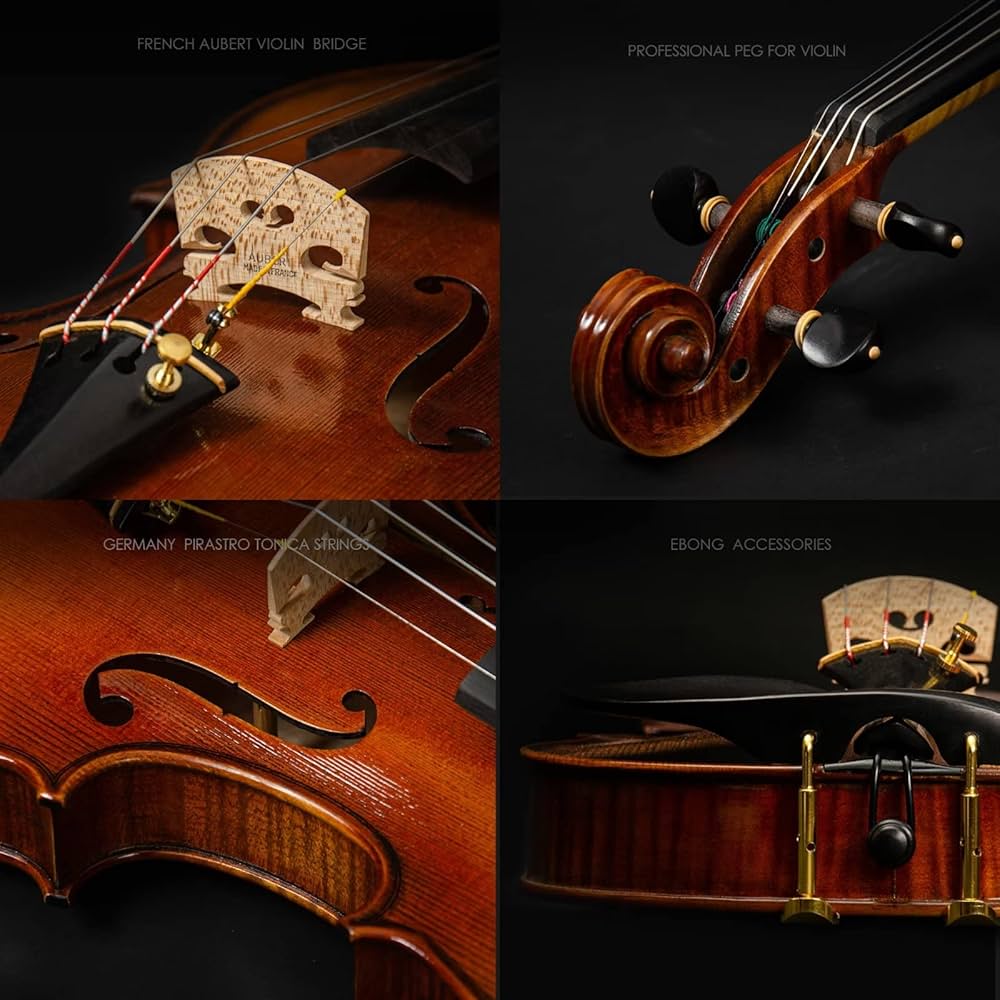 CHRISTINA Violin 4/4 Full Size Set Solid Wood Spruce Top